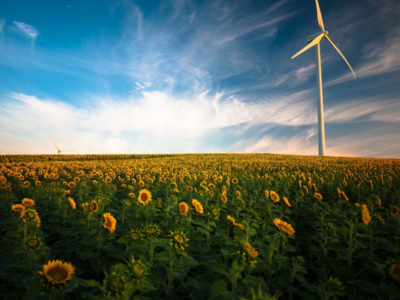 UfM Energy Platforms